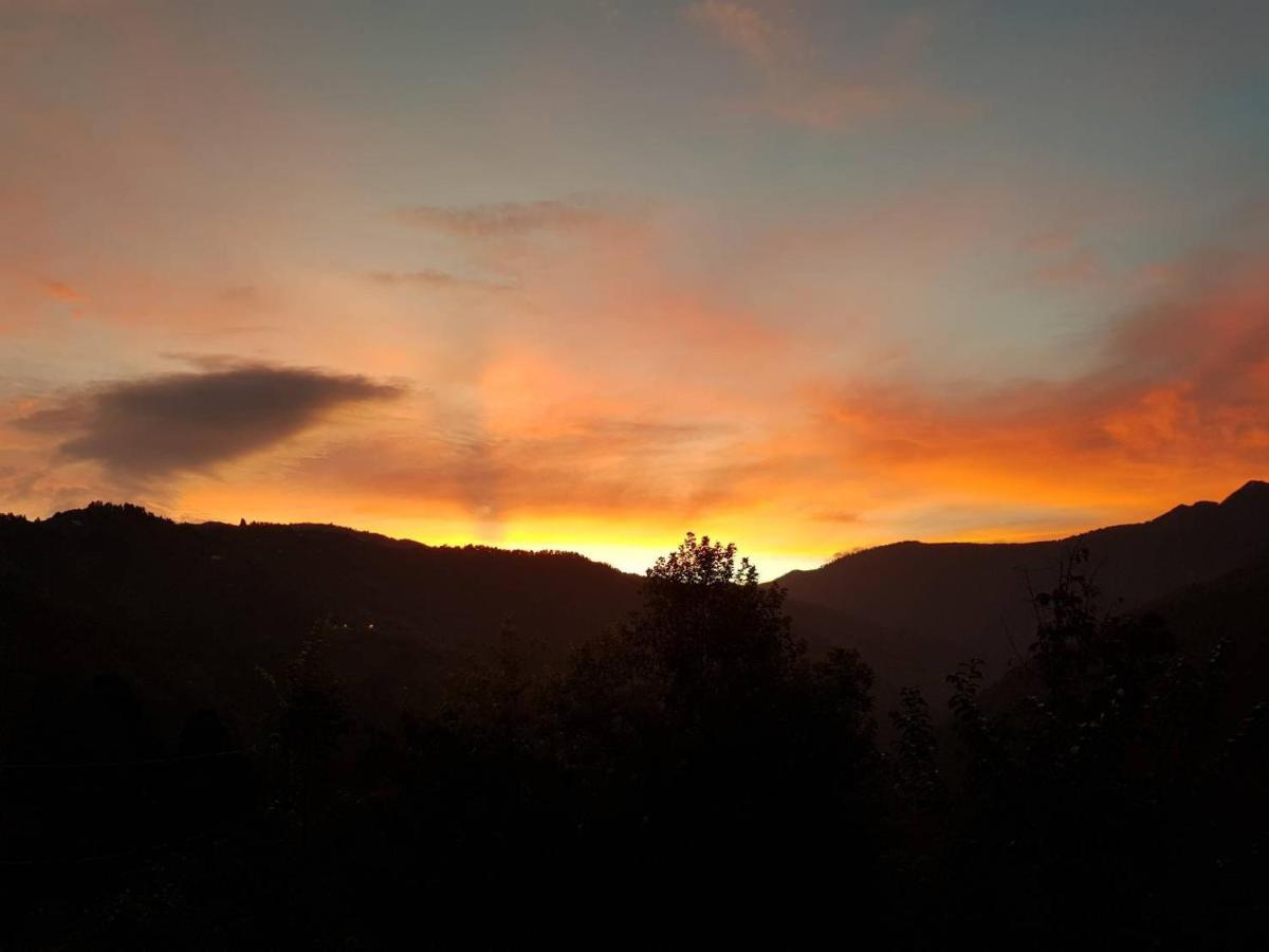 Lala Mountain Homestay‧Cile Farm Hualing Eksteriør bilde