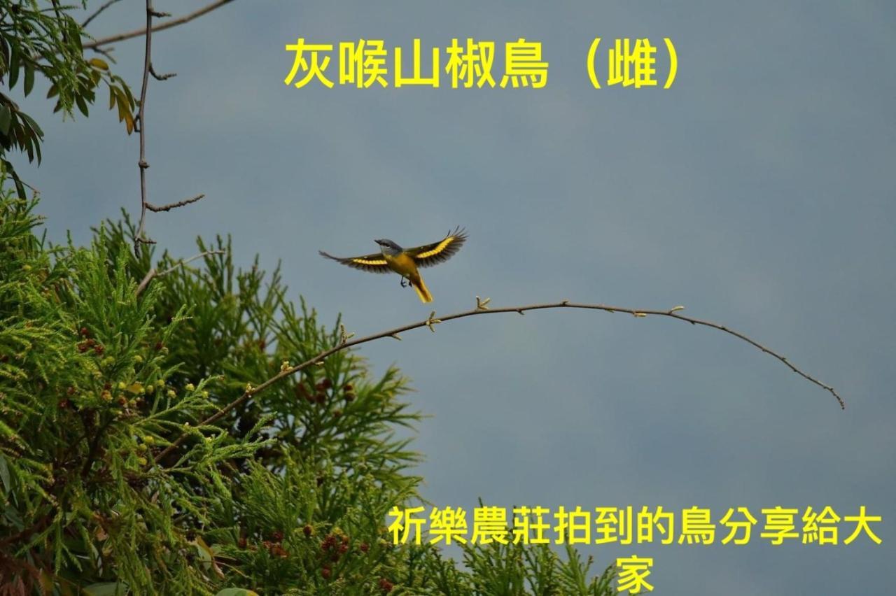 Lala Mountain Homestay‧Cile Farm Hualing Eksteriør bilde