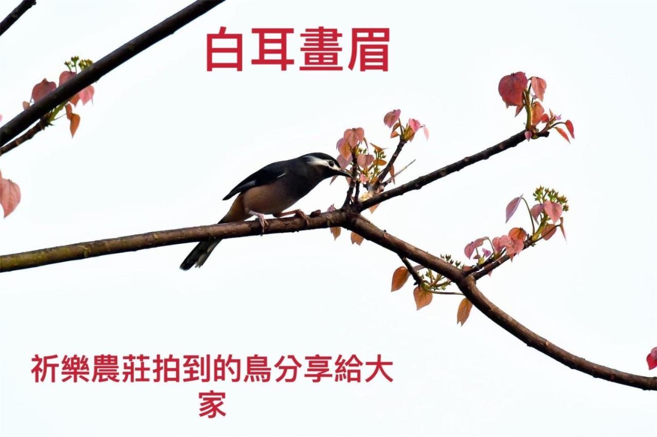 Lala Mountain Homestay‧Cile Farm Hualing Eksteriør bilde