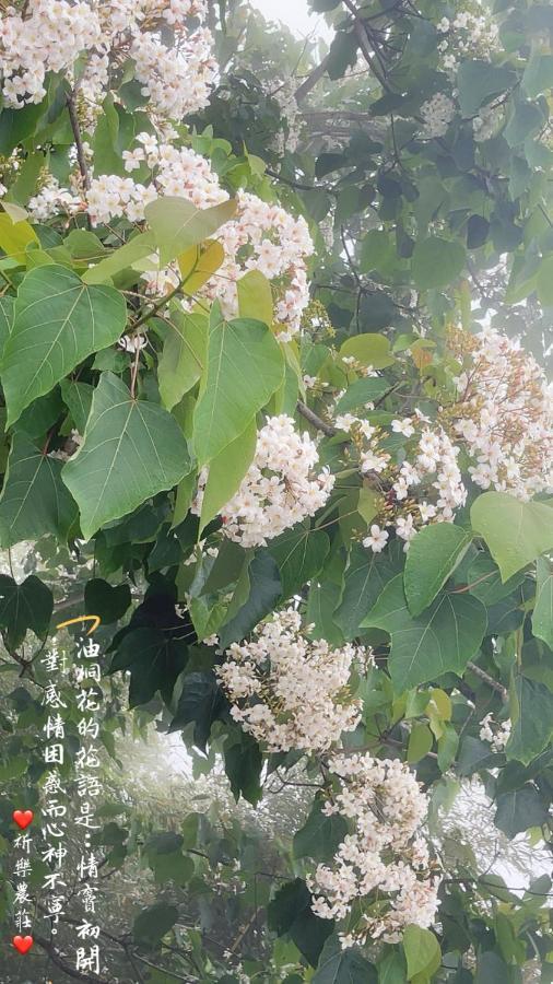Lala Mountain Homestay‧Cile Farm Hualing Eksteriør bilde